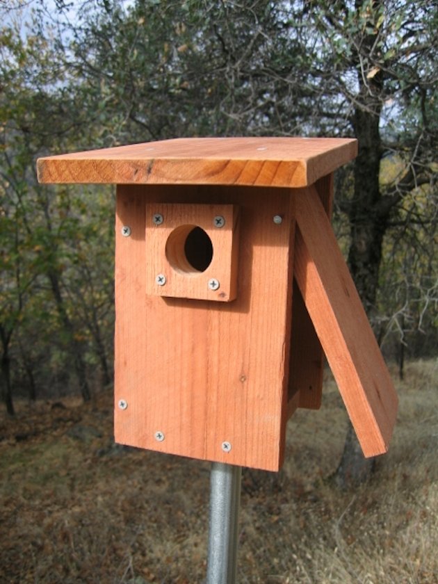 Bluebird Birdhouse