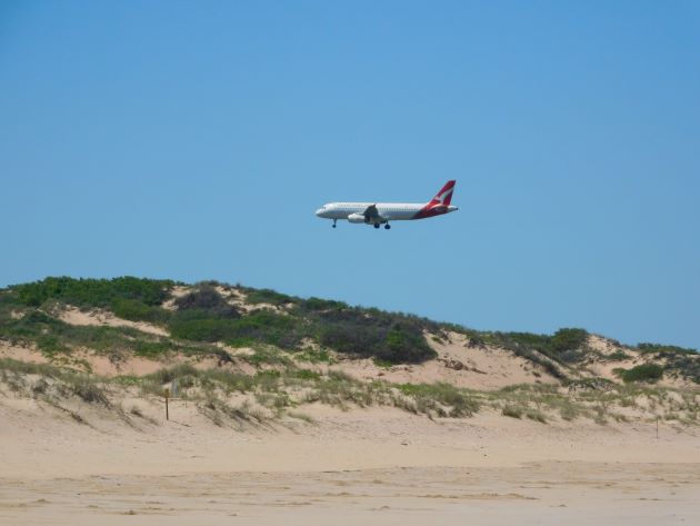 Animalstuffstore Cable-Beach-Qantas Broome Surf Membership to Gantheaume Level – 10,000 Birds Bird  