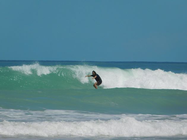 Animalstuffstore Cable-Beach-surf Broome Surf Membership to Gantheaume Level – 10,000 Birds Bird  