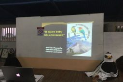 Highlights from the 2022 Arenal Christmas Count in Costa Rica