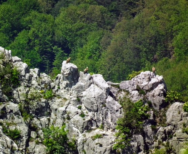 Trešnjica Gorge - Serbia