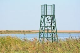 The best-kept birding secrets of Belgrade