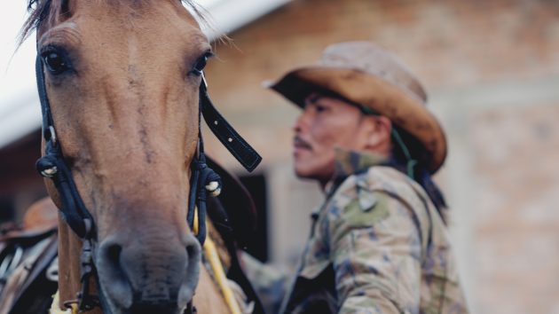 vaquero and horse