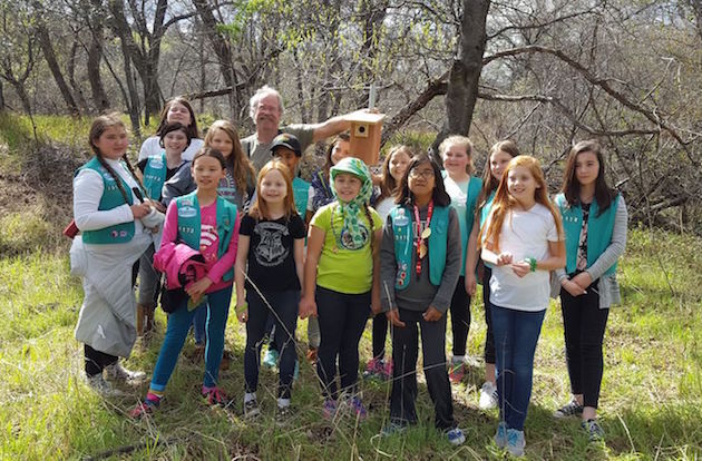 Girl Scout Troop Birdhouses