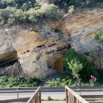 The go back of the Outdated Guy