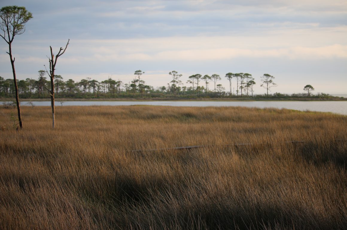 Cape San Blas