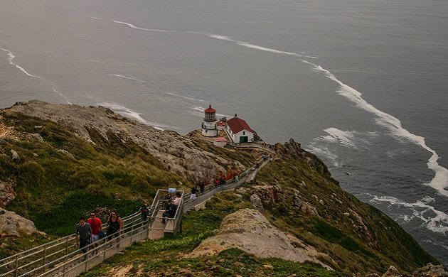 point reyes, california, birding