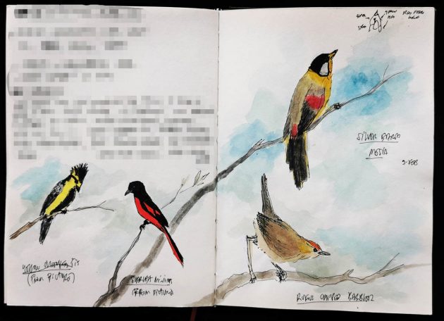 Animalstuffstore Illustration-04-11b_IMG_20220221_095710-630x456 An epidemic journey, trying to find birds – 10,000 Birds Bird  