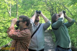 Collaborative list – February 2020