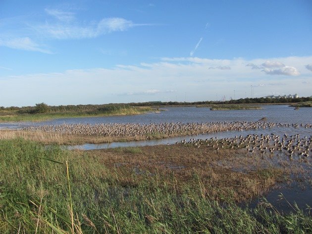 killingholme-haven-clay-pits