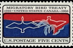 Proposed Changes to Migratory Bird Treaty Act - Part I - 10,000 Birds