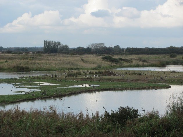 north-cave-wetlands