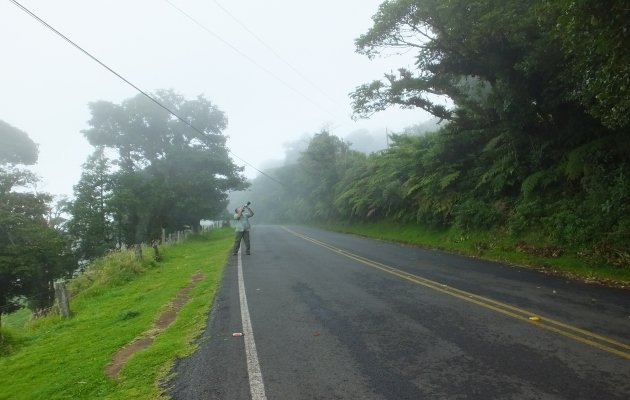 Poas-birding