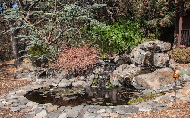 Water Feature