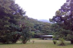 Costa Rica Birding in Quetzal Valley