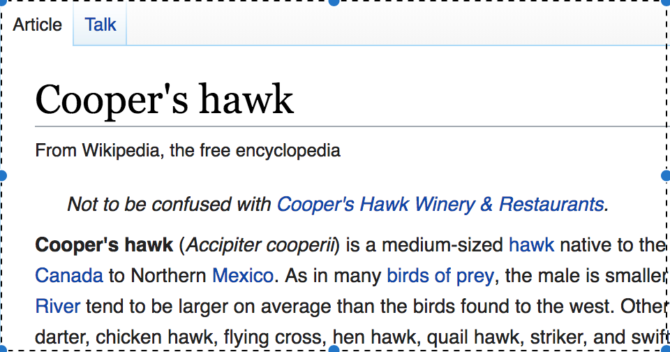 Cooper's hawk - Wikipedia