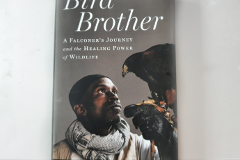 Cover of "Bird Brother" book, with a man holding a raptor on his gloved hand.