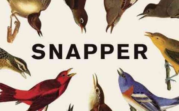 Detail from the cover of Brian Kimberling's Snapper