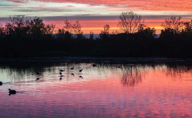 Sacramento National Wildlife Refuge