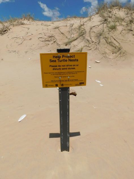 Animalstuffstore Turtle-nest-sign-rotated Broome Surf Membership to Gantheaume Level – 10,000 Birds Bird  