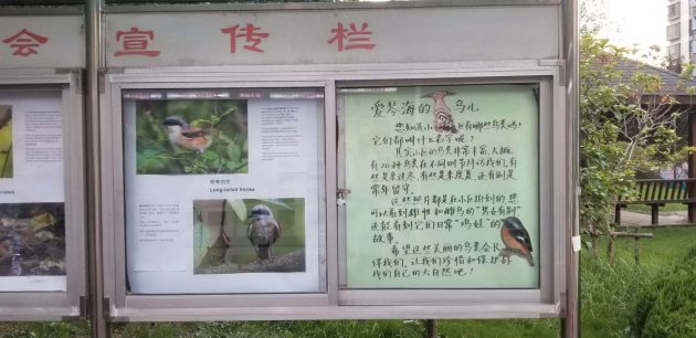 A Bird Presentation in Shanghai
