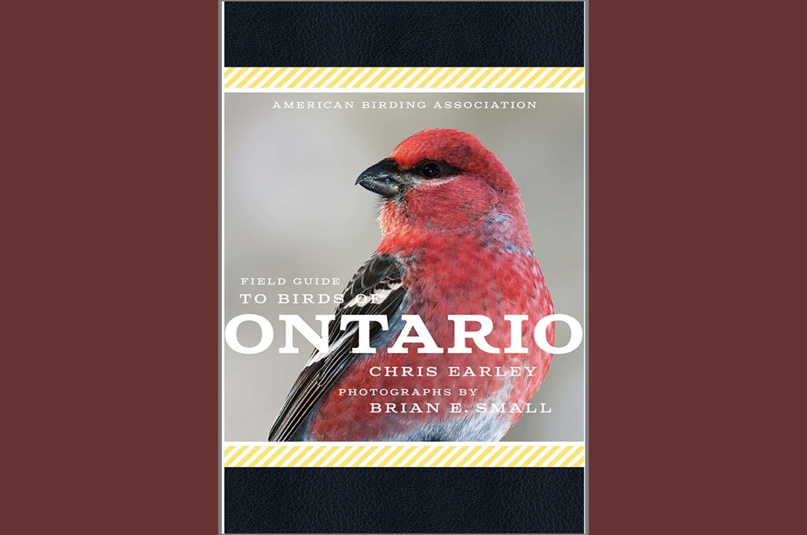 American Birding Association, Author at American Birding Association