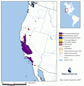 Tri-colored Blackbird Range Map