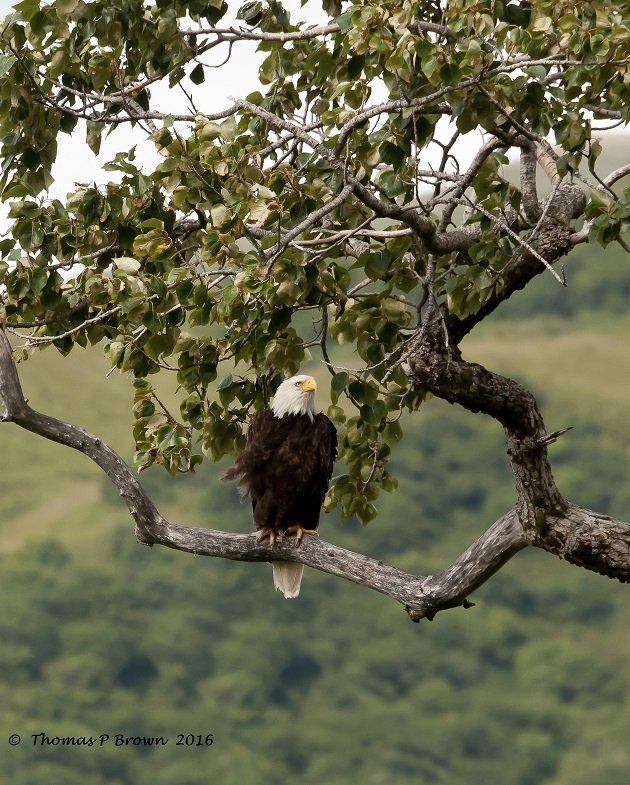 alaska-photos-33