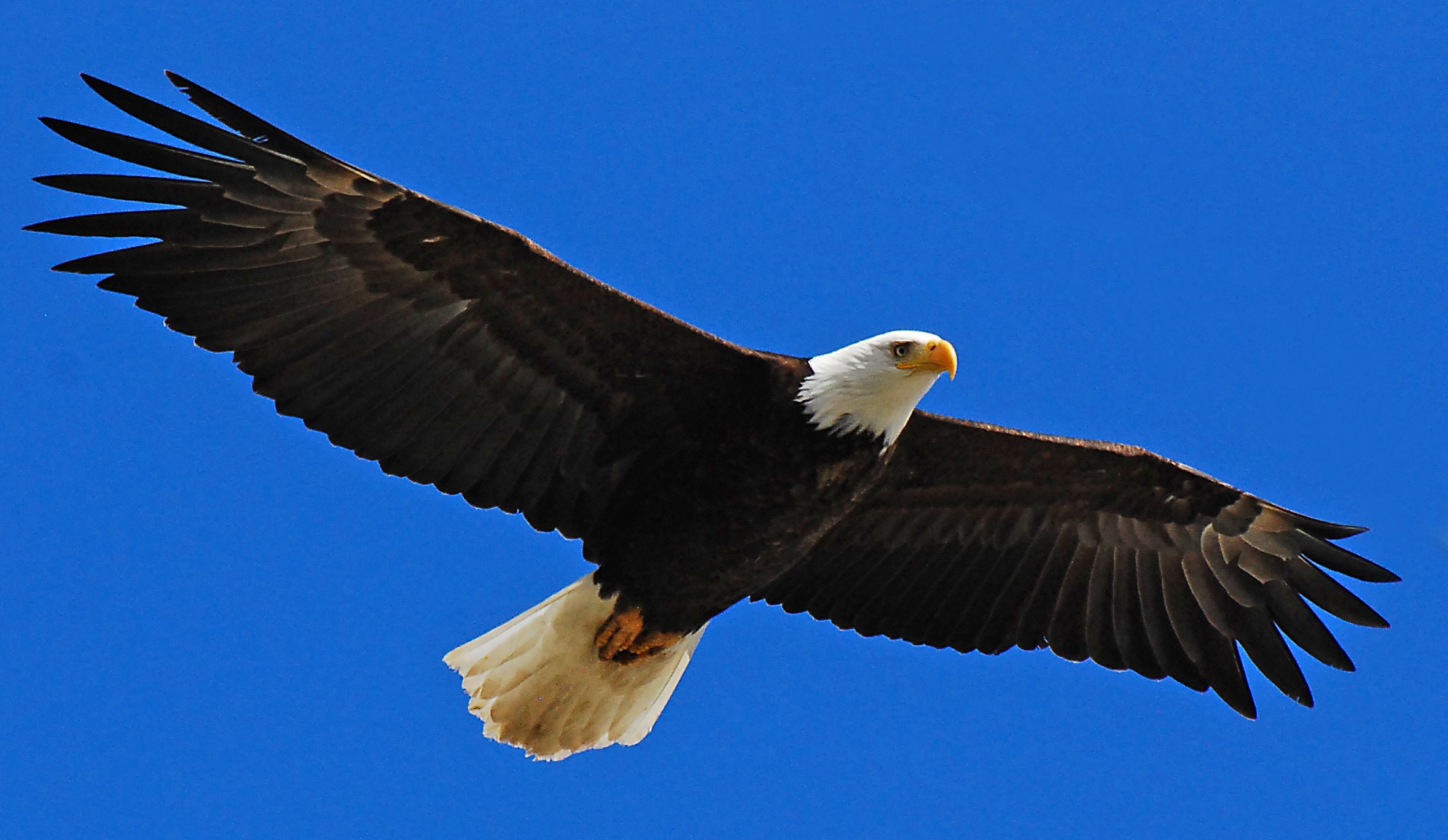 Why the Eagles Never Finished 'You're Really High, Aren't You?
