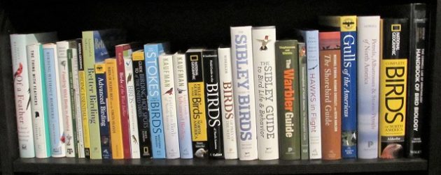 Birding Library