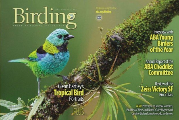 Birding Mag -- How Many Birders?