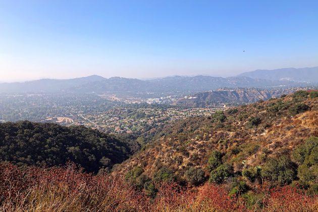 Animalstuffstore ca.view-of-city-from-mts-630x420 Critiques of ABA Subject Information to Birds of Maine & Birding Information to the Larger Pasadena Space – 10,000 Birds Bird  