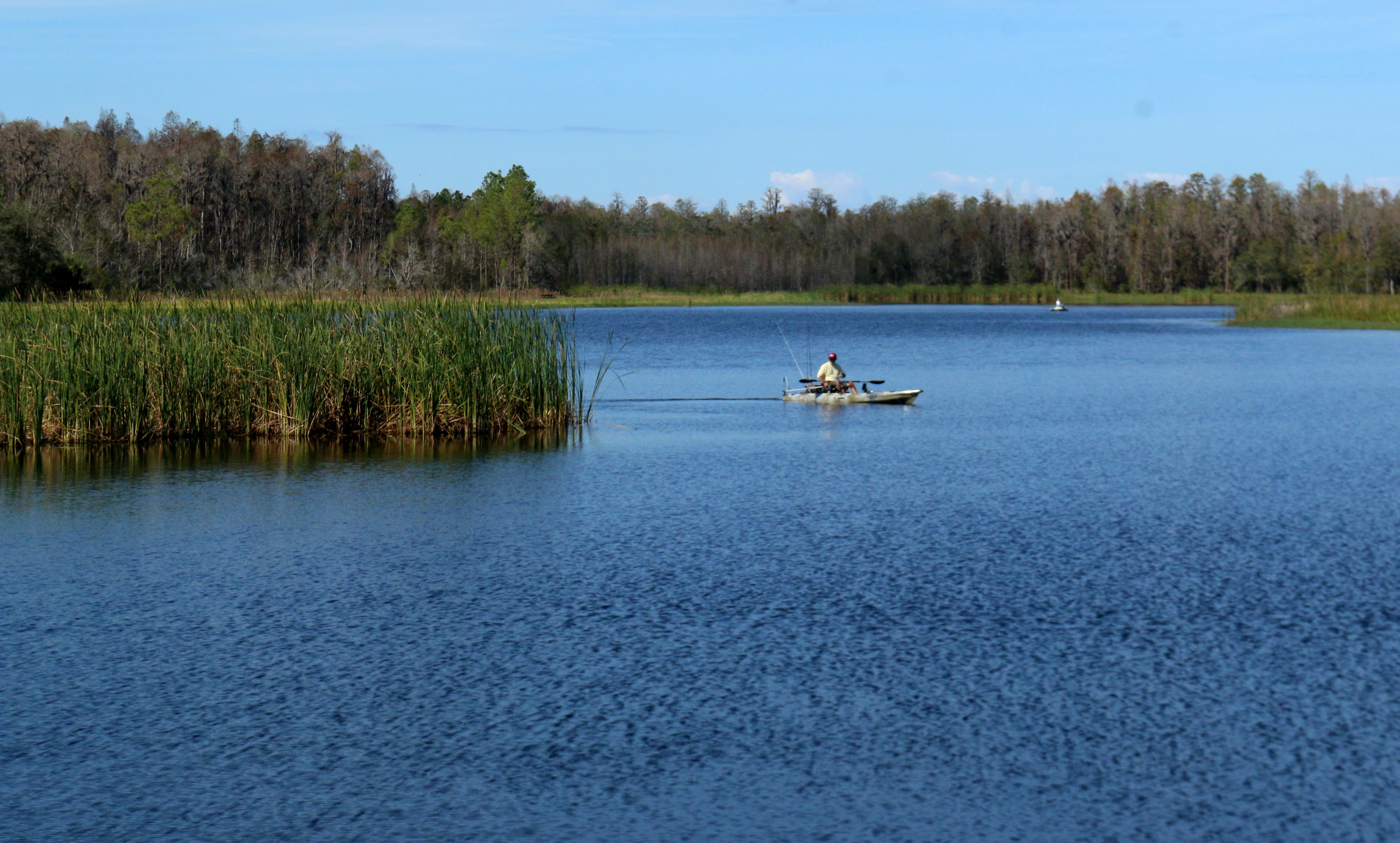 nature, landscape, florida state park