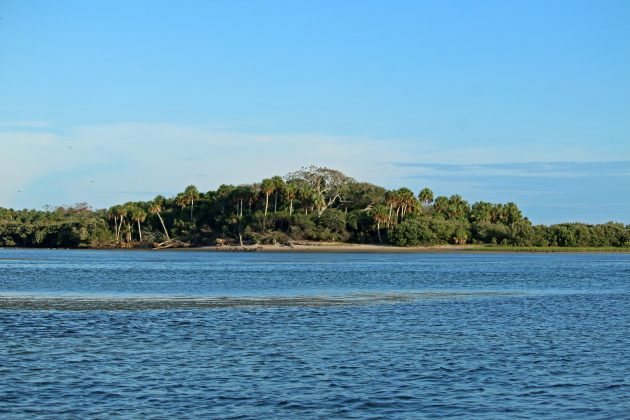 snake key, cedar key, florida, travel