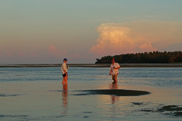 cedar key, florida, nature