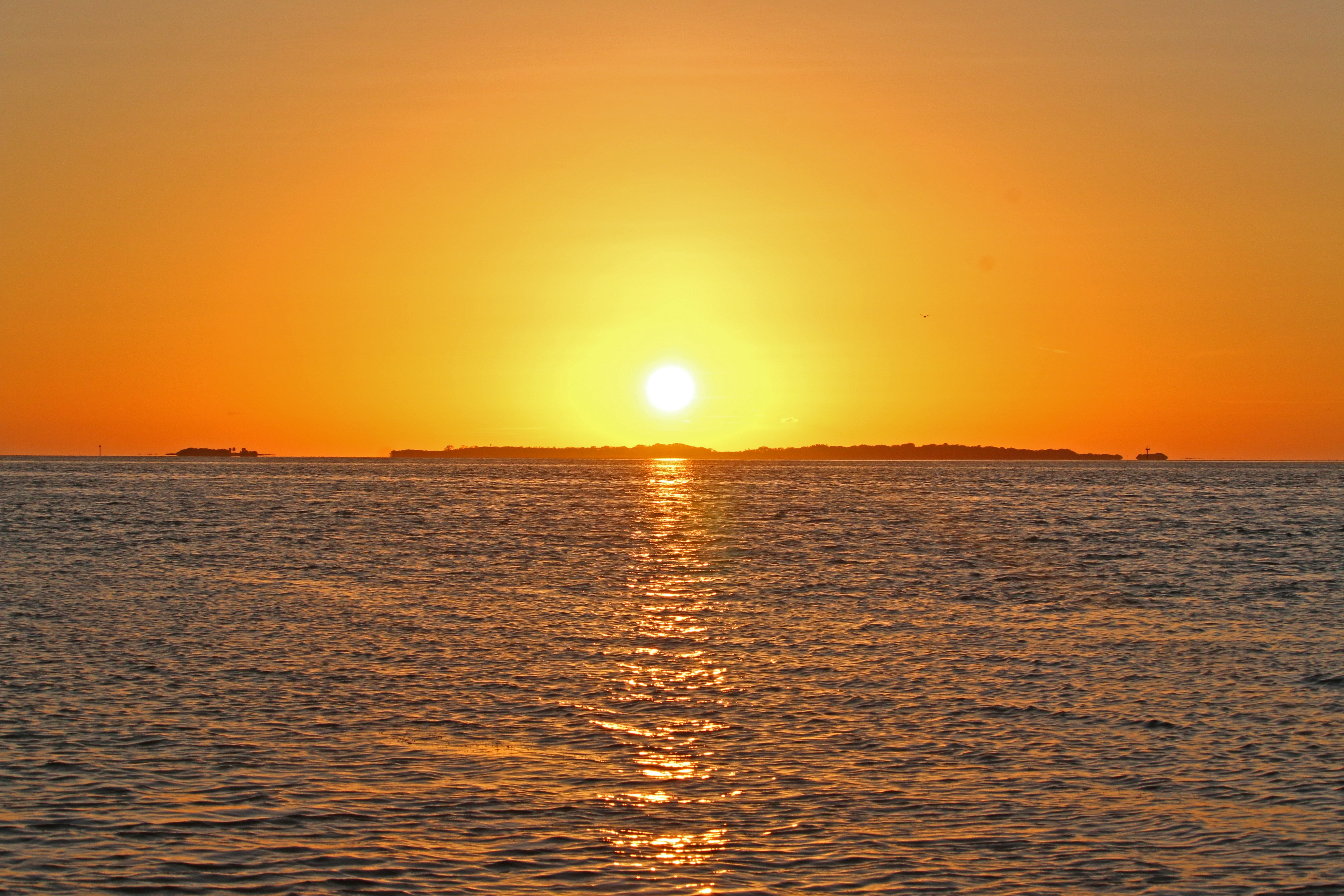 sunset, cedar key, nature