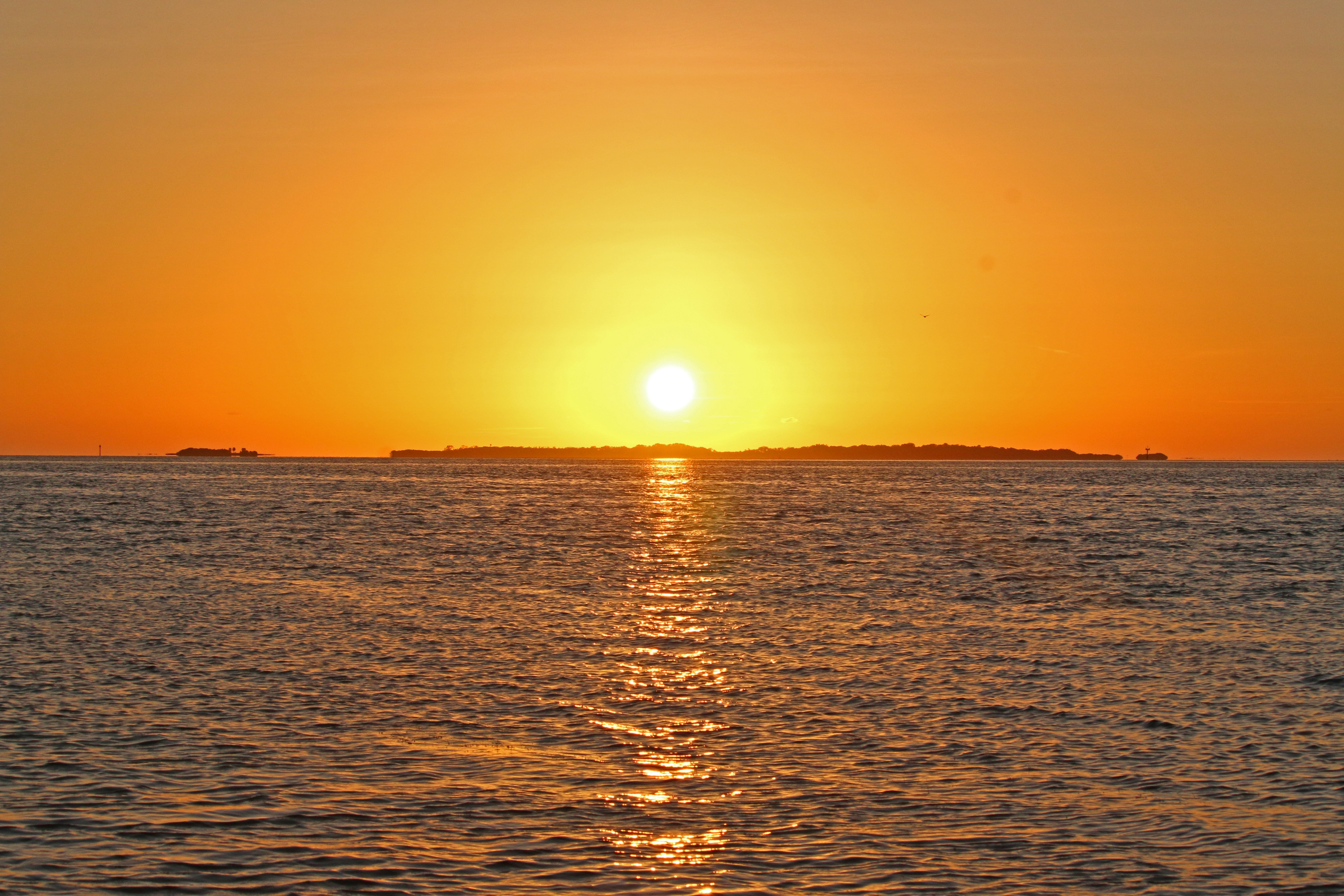 sunset, cedar key, nature