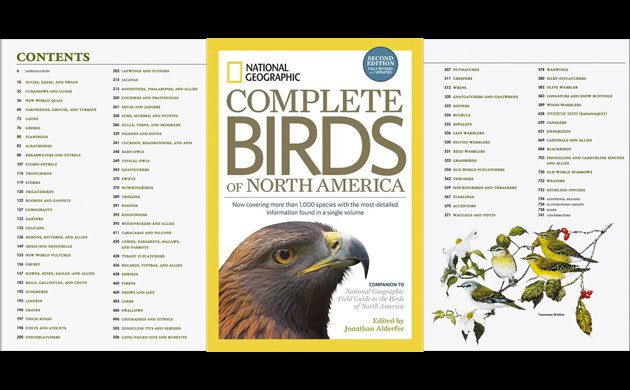 National Geographic Complete Birds of North America, 2nd Edition: A Book  Review - 10,000 Birds