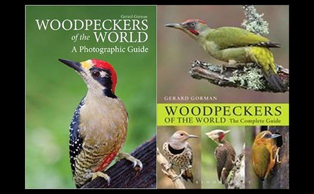10,000 Birds Woodpeckers of the World: A Photographic Guide-A Review