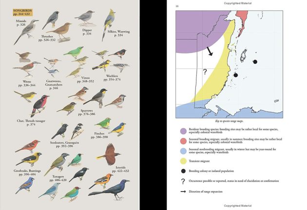 Animalstuffstore cr-pictorial-guide-and-bel-map-key-630x432 A Subject Information Assessment Doubleheader – 10,000 Birds Bird  