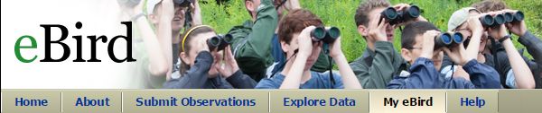 eBird -- How Many Birders?