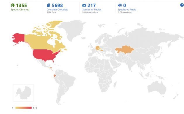 ebird-world