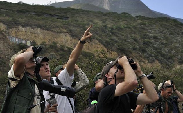 Birders in Northern Peru