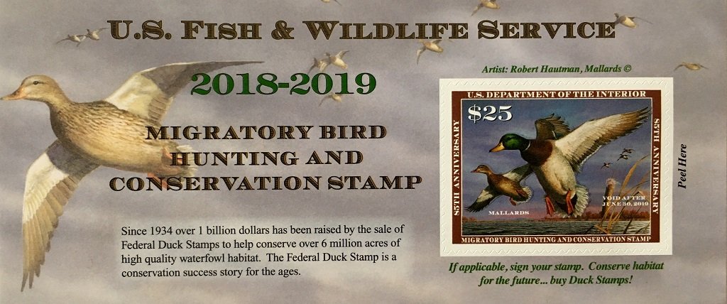 Buy a Duck Stamp or E-Stamp  U.S. Fish & Wildlife Service