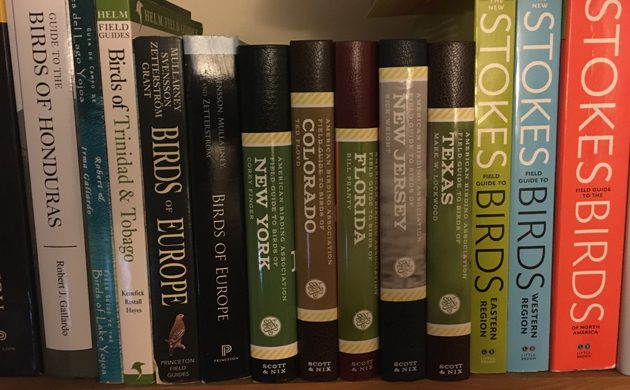 American Birding Association, Author at American Birding Association