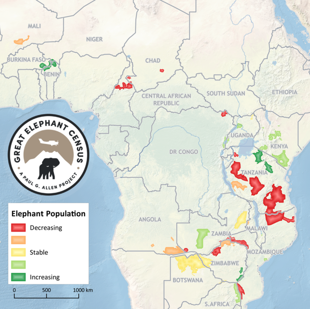 great-elephant-census-copy