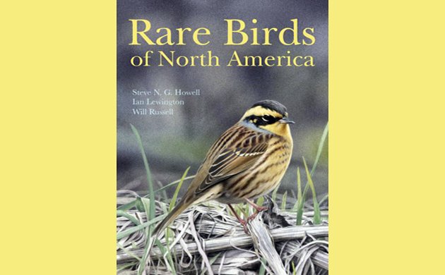 A popular handbook of the birds of the United States and Canada