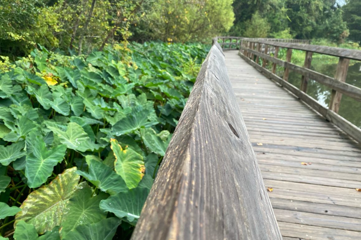 Boardwalk at Tom Brown Park