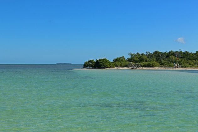 florida, nature, landscape