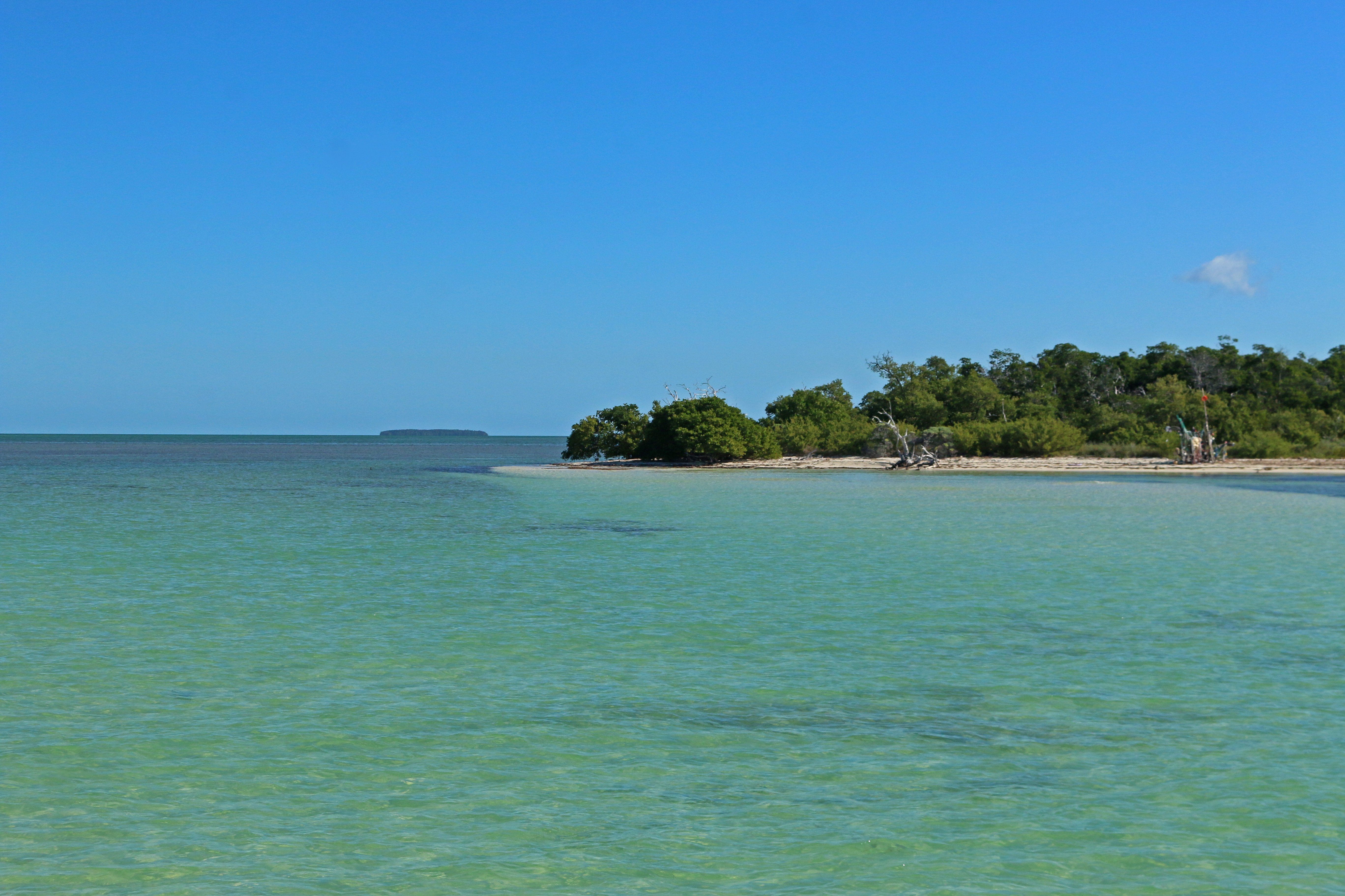 florida, nature, landscape